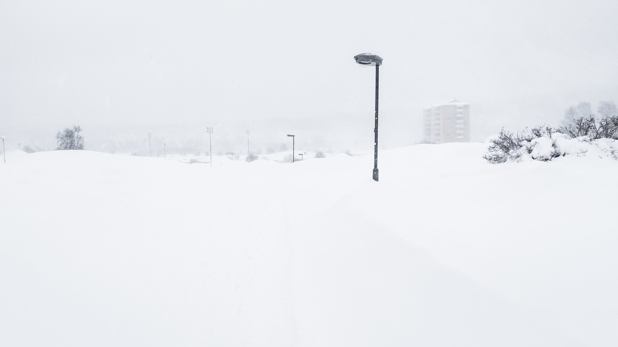 Download Untitled 92 For Android Free Get Wallpaper Untitled 92 Desktop Wallpaper